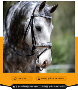 Fournisseur et fabricant de mariée vénitienne, de bonne qualité, en vrac, en édition limitée - Product Image 2