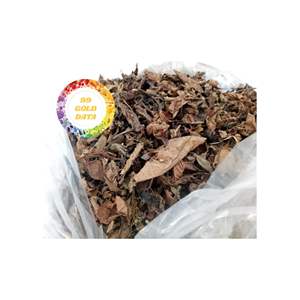 JELÉE D'HERBE NOIRE SÉCHÉE MESONA HERBE VENTE EN GROS VIETNAM FOURNISSEUR MATÉRIEL DE GELÉE D'HERBES NATURELLES DE HAUTE QUALITÉ - Product Image 1