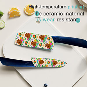 Cuchillo de Chef Profesional de Cerámica en Existencia, Mango de Plástico, Grado Comercial para Procesamiento de Carne, Cocina de Restaurante, Envío Gratis - Product Image 5