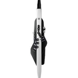 Meilleures ventes : Instrument à vent numérique Roland Aerophone AE-20/AE-10G - Product Image 2