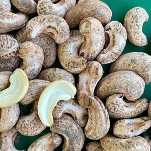 Trusted Factory Santigo Factory Vietnam W240 A180 W320 1Kg échantillon de noix de cajou bio emballage personnalisé - Product Image 1