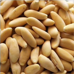 Frutos de piñones orgánicos de calidad superior disponibles para la venta al por mayor/piñones de alta nutrición En stock Entrega rápida - Product Image 3