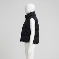 Chaleco Corto de Algodón Barato para Mujer, Otoño Invierno 2023, con Capucha, Cortavientos, Transpirable, con Forro de Piel de Zorro, Sin Mangas, Color Negro, Nuevo