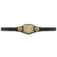Ceintures de boxe de championnat personnalisées par sublimation, poids lourd, les plus vendues, design couleur personnalisé, qualité supérieure pour vainqueurs de kickboxing