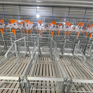 Venta caliente jaulas de gestación para cerdos en gestación de acero inoxidable del fabricante de Vietnam - Product Image 1