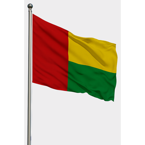 Drapeau de Guinée en soie personnalisé 3x5 pieds avec mât en aluminium - Impression numérique - Product Image 1
