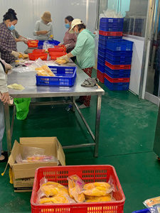 IQF แพ็คมะม่วงแช่แข็ง/ลูกเต๋า/ชิ้นผลไม้หวานเพื่อสุขภาพส่งออกน้ำสูญญากาศขายส่ง-caryln - Product Image 5