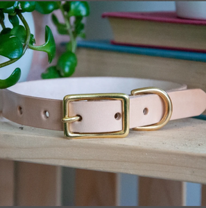 Collier de chien en cuir vert de haute qualité pour lévrier et Whippet - Product Image 1