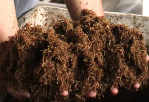 กากชานอ้อย/การเกษตรทำปุ๋ยขยะจำนวนมาก - Product Image 5