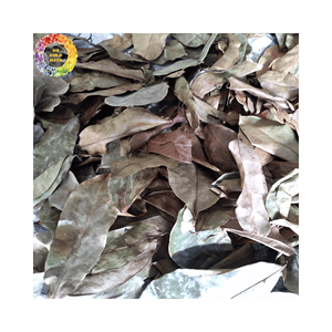 ทุเรียนเทศแห้งจากธรรมชาติใบกริโอลาใบชาจำนวนมากใบ annona muricata สำหรับผู้บริโภคที่ใส่ใจสด - Product Image 4