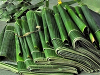 Feuille de bananier vert frais congelé naturel du Viet Nam - 100% Feuilles de bananier fraîches et surgelées naturelles-Akina