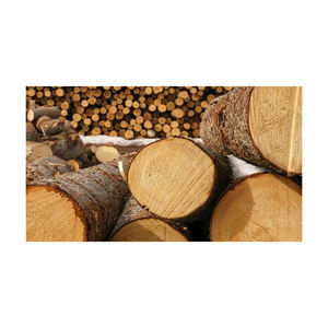 Bois de chauffage de qualité supérieure pour les supermarchés camping et fournisseurs de carburant - Product Image 4