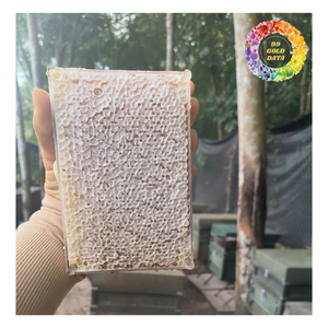 Delicioso panal puro dulce, Vietnam Premium de panal de sabor dulce, pastel de panal dulce más vendido - Product Image 1