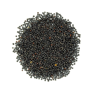 Venta al por mayor de semillas de canola a granel aptas para uso agrícola y alimentario - Product Image 3