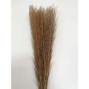 Flor Seca de Ilalang - Product Image 2