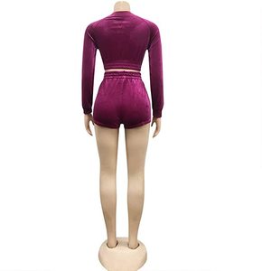 Wholesale <b>Women's</b> Luxury Crop <b>Top</b> <b>Low</b> Inseam High Waist Shorts Trending <b>Cut</b> Sew Velvet Solid Two Piece Tracksuits Sets - Product Image 5
