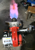 Petit brûleur de chauffage domestique/commercial, sécurité, anti-explosion, faible bruit, prend en charge la personnalisation