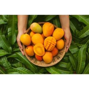 Siero Rinfrescante per Occhi Mango Breeze Vegano e Cruelty-Free con Aloe Vera 10mL - Product Image 5