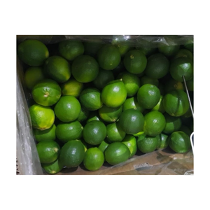 Limones y limas versátiles fabricados en Vietnam, Lima fresca/Lima verde natural de alta calidad - Product Image 5