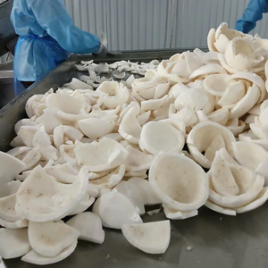 เนื้อมะพร้าวขูดแช่แข็งแช่แข็งแผ่นมะพร้าวสีขาวละเอียดเส้นใยสูงสำหรับเบเกอรี่ขนมคุกกี้ขนมและท็อปปิ้ง - Product Image 1