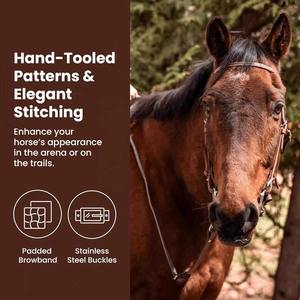 Licol professionnel pour cheval, réglable, durable, équipement d'équitation, support de manipulation, entraînement, équipement d'écurie, performance fiable, soins quotidiens - Product Image 2