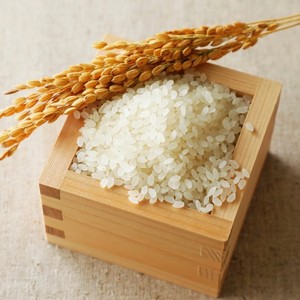 Sac de haute qualité biologique à sushi japonica riz blanc doux doux à grain court/rond 5KG/25KG en gros du fournisseur de riz du Vietnam - Product Image 4