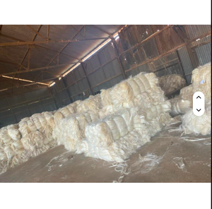 Acheter Premium Sisal Fiber - SSUG Grade - Product Image 1