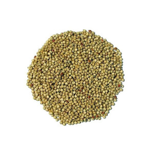 อาหารข้าวฟ่างคุณภาพสูงเหมาะสำหรับเลี้ยงนกปศุสัตว์และสัตว์เลี้ยง - Product Image 6