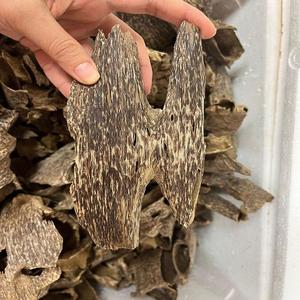 Authentic High-Quality Vietnam Oud - Naturally Sourced for Excellence! - Product Image 1