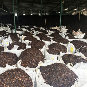 Huile de coquille de noix de cajou 2022, prix chaud, huile de coquille de noix de cajou, grande quantité, huile de coquille de noix de cajou, vacances - Product Image 4