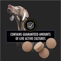 Suppléments vétérinaires Supplément probiotique pour chiens Supplément nutritionnel canin