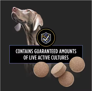 Suplementos veterinarios Suplemento probiótico para perros Suplemento nutricional canino - Product Image 3