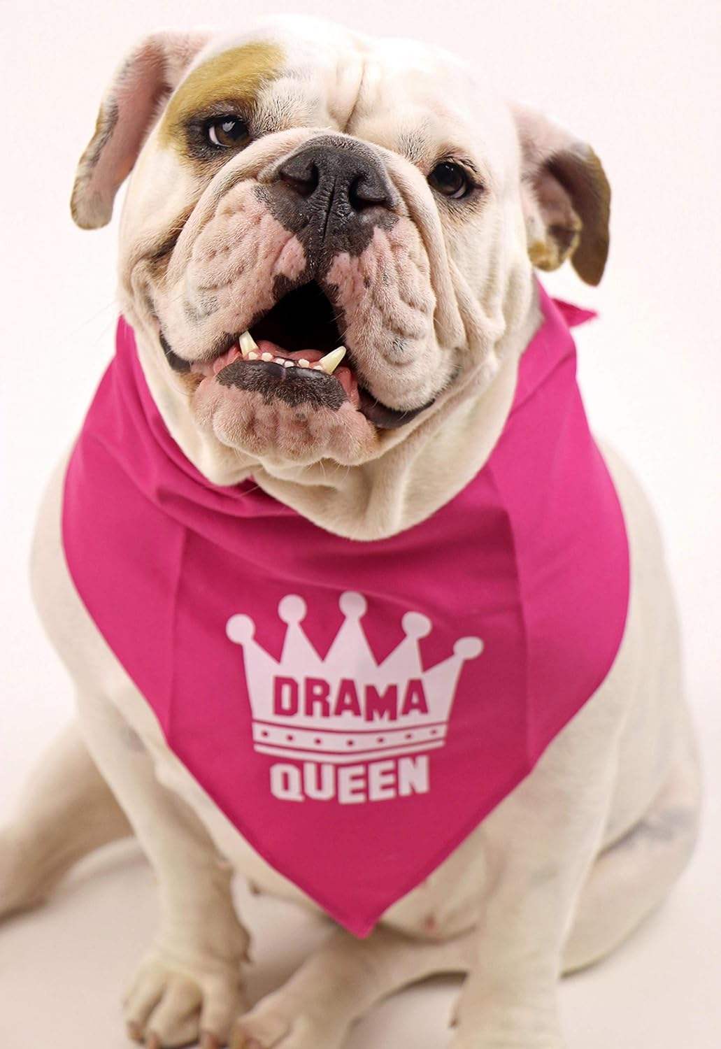 Dessins et modèles 4