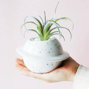 Les vases à fleurs en céramique les plus demandés offrent un mélange parfait de tradition et de design contemporain, magnifiquement conçus par BRUSHSTROKE. - Product Image 3