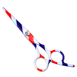 Kit de ciseaux de coiffeur enduits multicolores personnalisés ciseaux de salon de coiffure ciseaux de coiffeur ensemble de 2 pièces de coiffure - Product Image 4