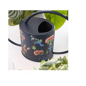 Canne à eau en métal de qualité de luxe en métal galvanisé noir brillant canne d'arrosage de jardin pour les accessoires de jardin de plante d'intérieur à vendre - Product Image 1