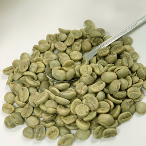 Haricots verts Arabica du Vietnam Qualité propre S18 Humidité 12.5% Parfait pour les torréfacteurs Fourniture en vrac OEM aux États-Unis, UE, EAU - Product Image 4