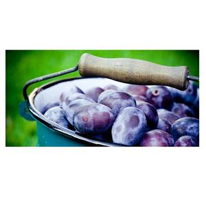 Precio de Venta caliente Frutas frescas Ciruelas a granel - Product Image 5