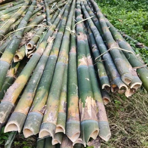 Poteaux en bambou écologiques personnalisés de 6mm de diamètre, clôture de construction naturelle extra large et fraîche pour exposition de jardin - Product Image 5