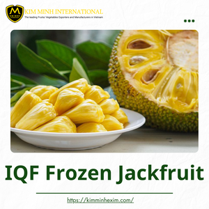 Jacquier jaune sucré congelé IQF le plus vendu du Vietnam emballé sous vide en vrac - Product Image 2