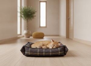 Lit pour animaux de compagnie convertible réglable de qualité supérieure Amistar pour chats et chiens de petite race, tissu Oxford durable, motif à carreaux - Product Image 3