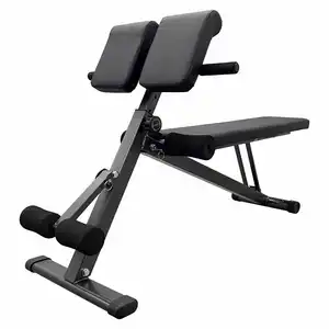 Ginásio Multi Funcional Haltere Fezes Fitness Cadeira Voltar Extensão Formação Roman Bench Exercício Equipamentos