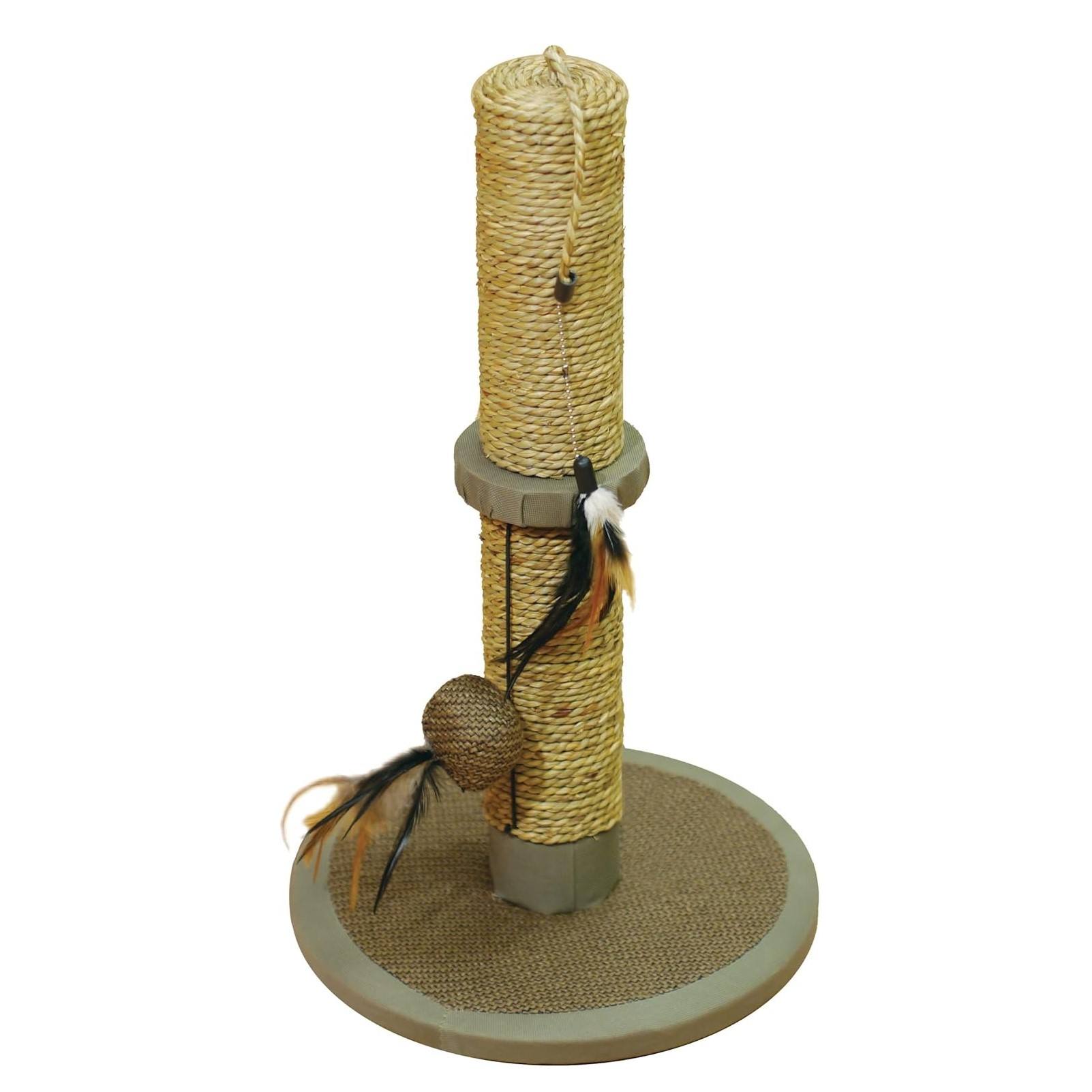 ธรรมชาติ