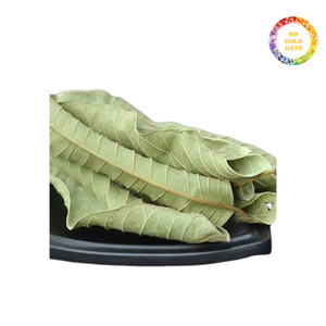 100% hojas de guayaba secas puras para la elaboración de tónicos y tónicos de hierbas ricos y aromáticos - Product Image 2