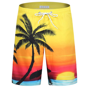 Pantalones cortos de encaje con estampado de logotipo personalizado para hombre, ideal para ropa informal, promociones en la playa, equipos deportivos, tela transpirable, diseño OEM - Product Image 1