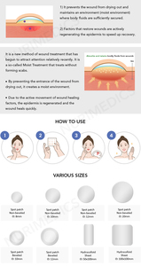 Vendeur mondial de qualité incomparable Meilleur prix du marché Patch imprimé végétalien coréen 4 points à un prix de marché abordable - Product Image 6