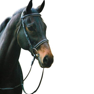 Brida de cuero de caballo acolchada con cuero de vaca suave para montar a caballo Brida de caballo de PVC colorida con logotipo personalizado 2025 - Product Image 1