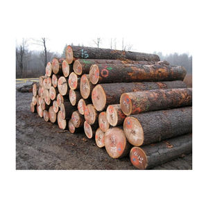 Leña lista para la venta a granel Leña secada en horno de alta calidad Troncos de leña de roble y haya a la venta Material de cambio de fase Mixto - Product Image 1