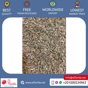 Graines de fenouil en vrac de la meilleure qualité, nutritives d'origine égyptienne, épices simples séchées exportées-traitement cru avec séchage avancé - Product Image 4
