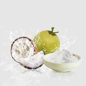100% poudre de noix de coco tendre séchée par pulvérisation organique naturelle pure Soluble dans l'eau prix en vrac d'usine 100% poudre de noix de coco tendre naturelle - Product Image 2